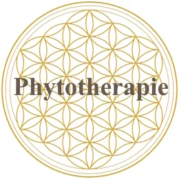 Phytotherapie, Heilpraktikerin, Katrin Bieder-Laule